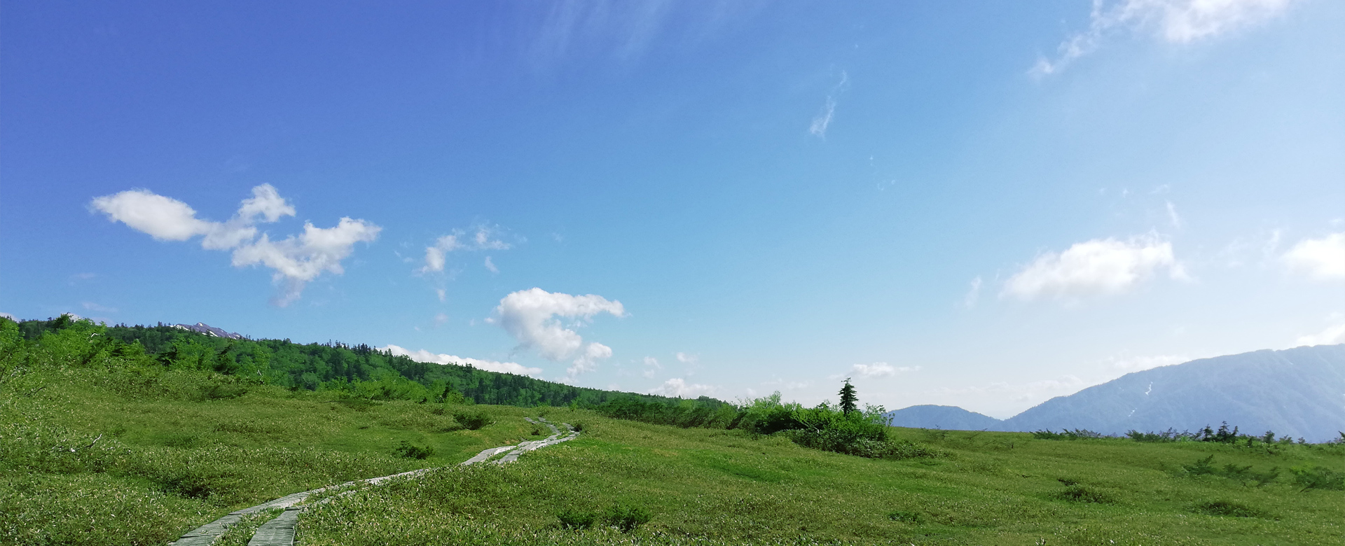 弁護士 砂原 薫 （ソフィオ法律事務所 所属）