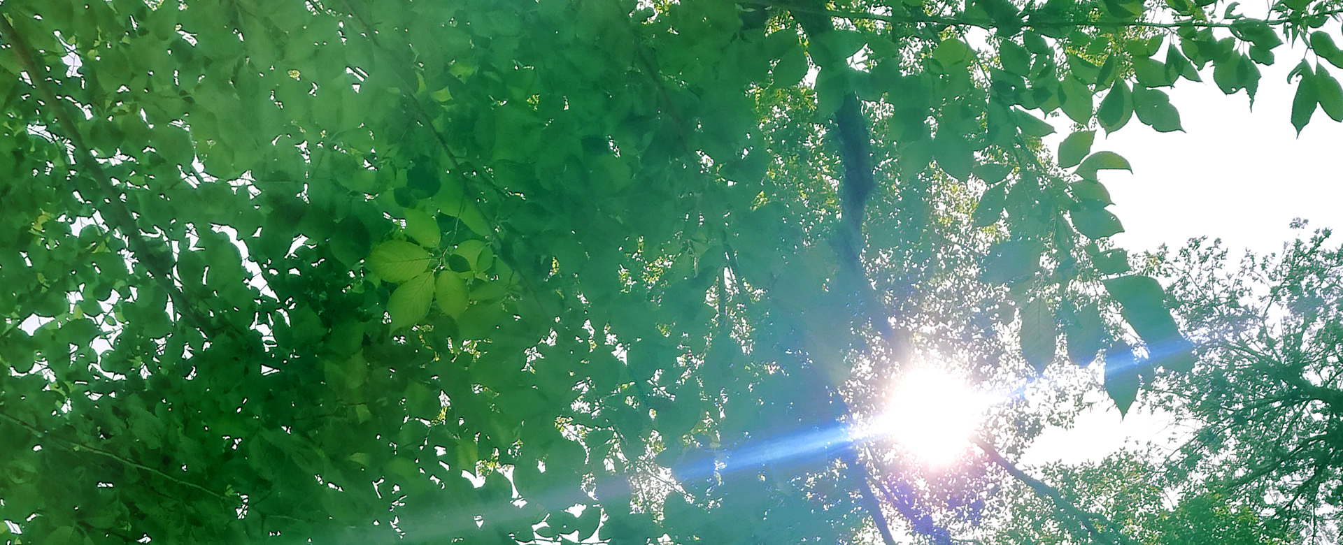 弁護士 砂原 薫 （ソフィオ法律事務所 所属）